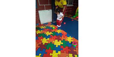 INSTITUCION EDUCATIVA COLOMBIANITOS