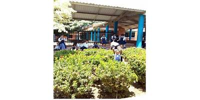 INSTITUCION EDUCATIVA CONSUELO ARAUJO NOGUERA