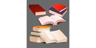 INSTITUCION EDUCATIVA DE ORO GOLDEN SCHOOL