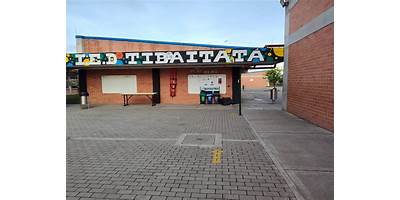 INSTITUCION EDUCATIVA DEPARTAMENTAL PABLO NIEBLES DE GUAYABAL