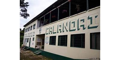 INSTITUCIÓN EDUCATIVA DEPARTAMENTAL TÉCNICO AGROPECUARIO CALANDAIMA