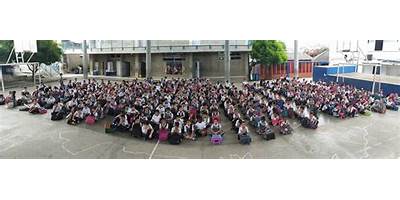 INSTITUCION EDUCATIVA DISTRITAL EL CAÑAHUATE
