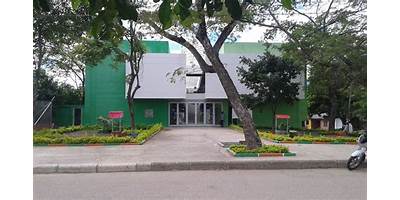 INSTITUCION EDUCATIVA EL JUNCAL