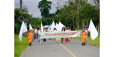 INSTITUCION EDUCATIVA EL ZARZAL