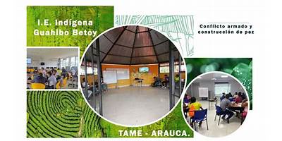 INSTITUCION EDUCATIVA INDIGENA GUAHIBO BETOY