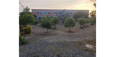 INSTITUCIÓN EDUCATIVA JOSÉ CELESTINO MUTIS