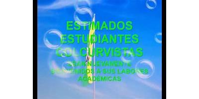 INSTITUCION EDUCATIVA LA CURVA