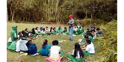 INSTITUCION EDUCATIVA LAS ACACIAS