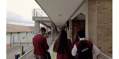INSTITUCION EDUCATIVA LAURA VICUÑA