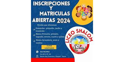 INSTITUCION EDUCATIVA LICEO SHALOM