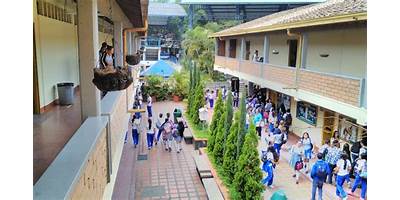 INSTITUCION EDUCATIVA LOLA GONZALEZ