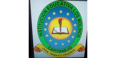 INSTITUCION EDUCATIVA LOS MOLINOS