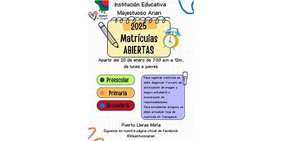 INSTITUCION EDUCATIVA MAJESTUOSO ARIARI INEMA