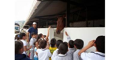 INSTITUCIÓN EDUCATIVA MALTERIA
