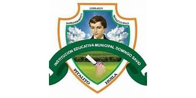 INSTITUCION EDUCATIVA MUNICIPAL DOMINGO SAVIO