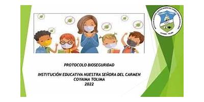 INSTITUCION EDUCATIVA NUESTRA SEÑORA DEL CARMEN