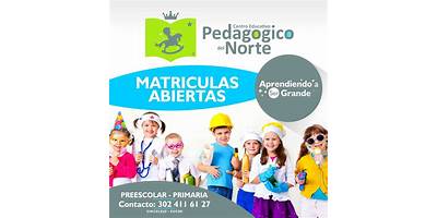 INSTITUCION EDUCATIVA PEDAGOGICO DEL NORTE