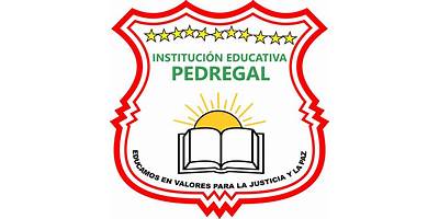 INSTITUCION EDUCATIVA PEDREGAL
