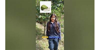 INSTITUCION EDUCATIVA RURAL DEPARTAMENTAL LIMONCITOS