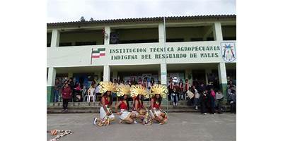 INSTITUCION EDUCATIVA TECNICA AGROPECUARIA INDIGENA DEL RESGUARDO DE MALES.