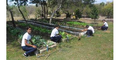 INSTITUCION EDUCATIVA TECNICA AGROPECUARIA SAN CAYETANO DE GALLEGO