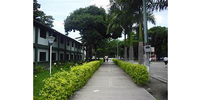 INSTITUCION EDUCATIVA TECNICO EL ORTIGAL