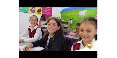 INSTITUCION EDUCATIVA VIBORAL
