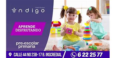 INSTITUTO EDUCATIVO INDIGO