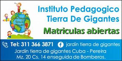 INSTITUTO  PEDAGÓGICO TIERRA DE GIGANTES