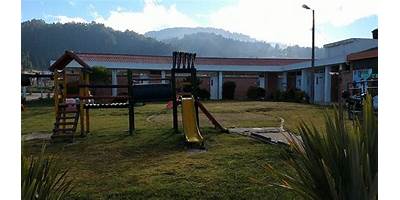 JARDIN DE BARNEY