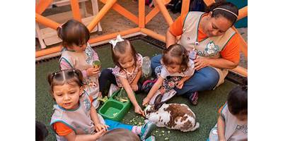 JARDIN INFANTIL PELUSA