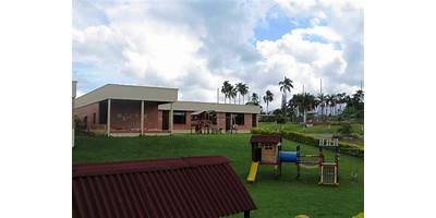 LICEO BILINGUE MENDEL