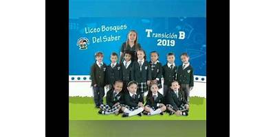 LICEO BOSQUES DEL SABER