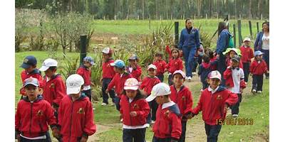 LICEO COOPERATIVO CAMPESTRE