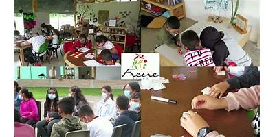 LICEO FREIRE SAS