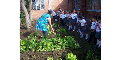 LICEO INFANTIL DEL CAUCA
