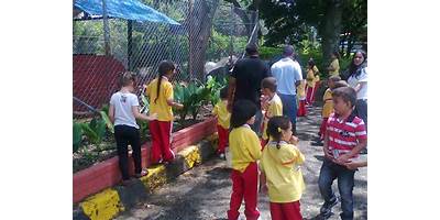 LICEO INFANTIL ESCALERITAS