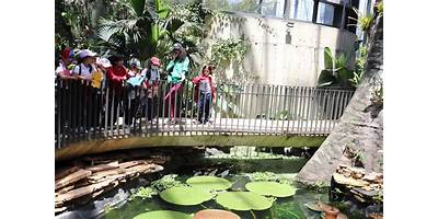 LICEO LA SABANA