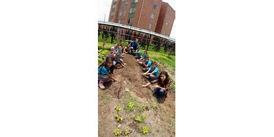 LICEO LAS BRISAS FUNZA