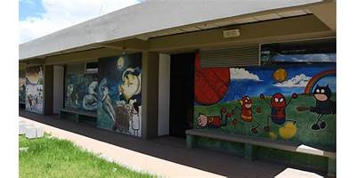 LICEO MAYOR DE SOACHA BIENESTAR PARA TODOS