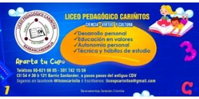 LICEO PEDAGOGICO CARIÑITOS