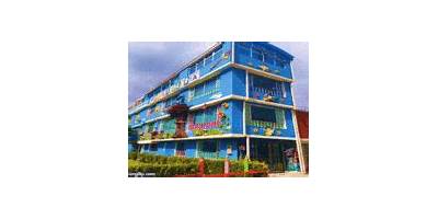 LICEO PEDAGOGICO LOS SAUCES