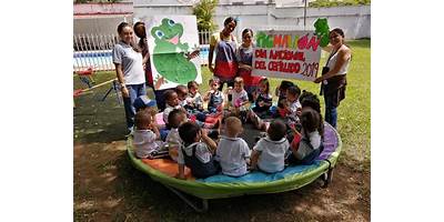 LICEO PIGMALION