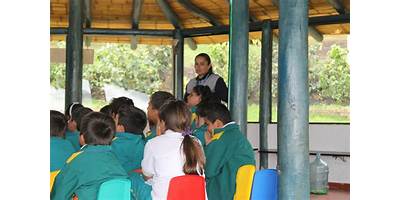 LICEO PIÑEROS CORTES