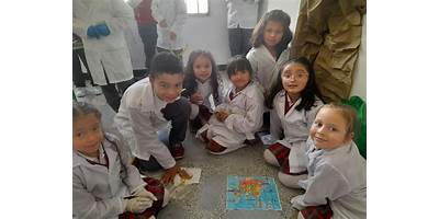 LICEO PSICOPEDAGÓGICO DESPERTAR