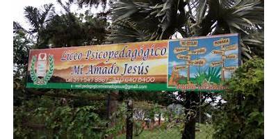 LICEO PSICOPEDAGOGICO MI AMADO JESUS
