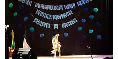 LICEO SEMILLAS DEL SABER