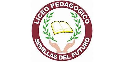 LICEO SEMILLAS PARA EL FUTURO