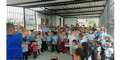 LICEO TESOROS DEL MAÑANA