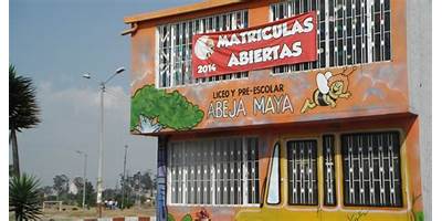 LICEO Y PREESCOLAR ABEJA MAYA